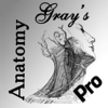 Le Duy - Gray's Anatomy Pro 2014 アートワーク
