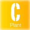 Constructify Plant