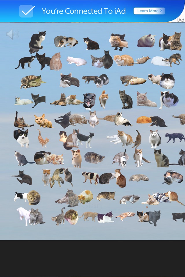 Find 101 Cats screenshot 3