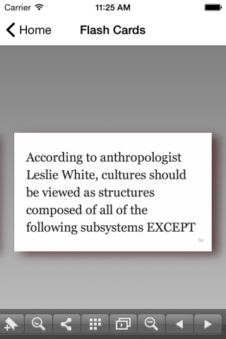 DSST Human Cultural Geography screenshot 4