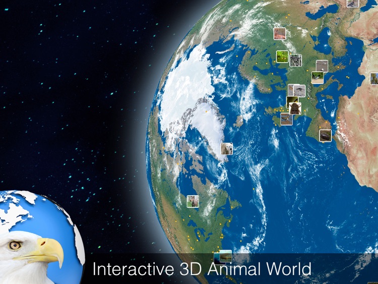 World Explorer - Animal Kingdom