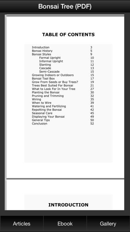 Bonsai Tree Guide - Everything You Need To Know Bonsai Tree !