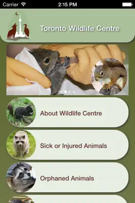 Game screenshot Wildlife Help - Toronto Wildlife Centre Rescue Injured, Sick & Orphaned Wild Animals apk