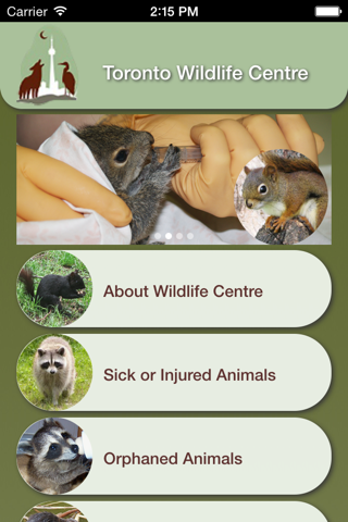 Wildlife Help - Toronto Wildlife Centre Rescue Injured, Sick & Orphaned Wild Animals screenshot 2
