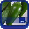 BASF México -  Cultivo del Chile