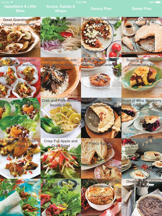 Quick & Easy Family Cookbook for iPad