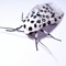 Animals and Insects is an excellent collection with photos and info