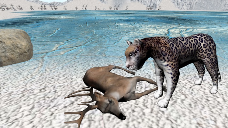 Snow Leopard Survival Attack -  Wild Siberian Beast Hunting Attack Simulation 2016 screenshot-4