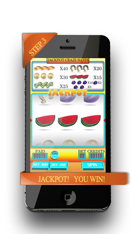 Jackpot Craze Slots screenshot-3