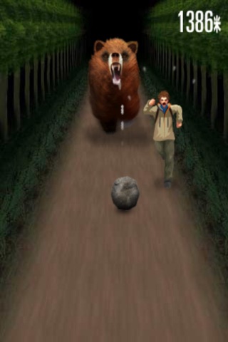 3D Bear Running - Kung Fu Bear screenshot 3