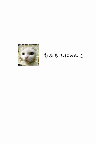 もふもふにゃんこ - かわいい猫で癒される、ねこ好き必携のアプリ screenshot 4