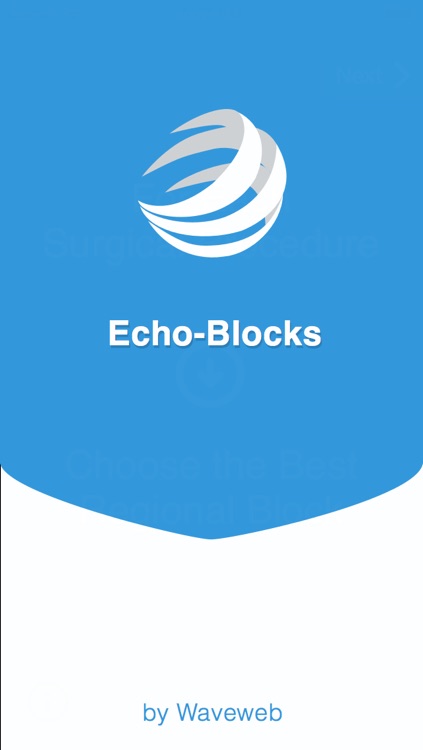 Echo Blocks screenshot-0