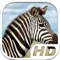 Experience the most advanced and realistic animal simulator available today