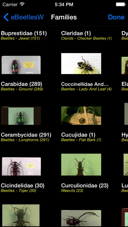 Beetles of the World - Coleoptera - A Beetle App