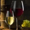 Welcome to the Sierra Foothills Winery Finder Application