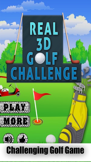 Real 3D Golf Challenge