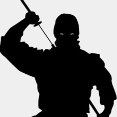 Activities of Ultimate Shinobi