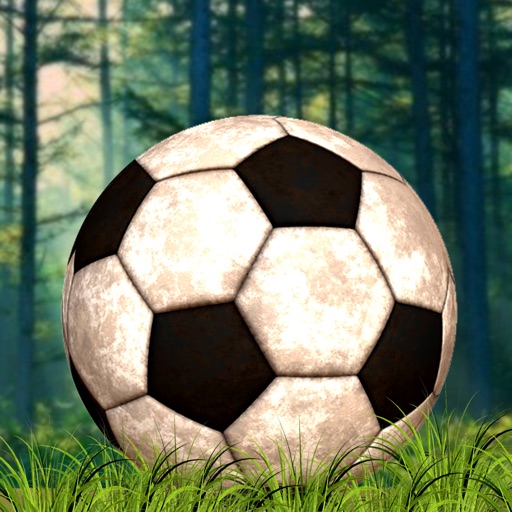 Wild Football Penalty ShootOut Pro - cool soccer player game iOS App
