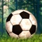 Wild Football Penalty ShootOut Pro - cool soccer player game