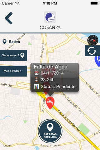 Governo Digital Pará screenshot 3