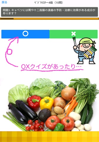 非公式LOHASベジタブルマイスター野菜ソムリエ検定 screenshot 4