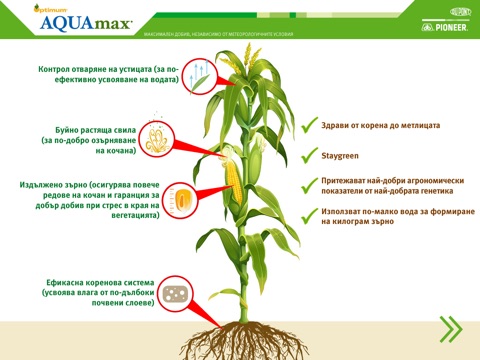 DuPont Pioneer Optimum® AQUAmax® продуктова информация screenshot 4