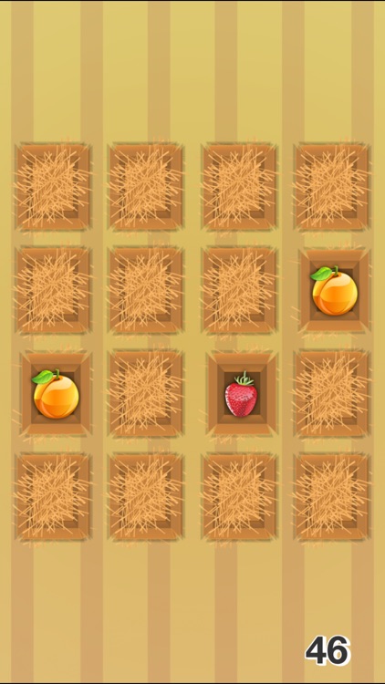 Match Fruit Game