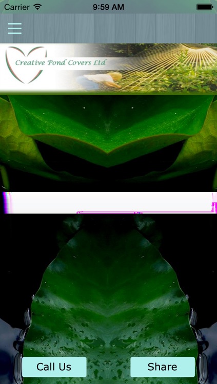 Let's go pond dipping