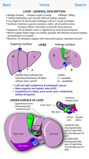 Instant Anatomy Flash Cards(圖3)-速報App