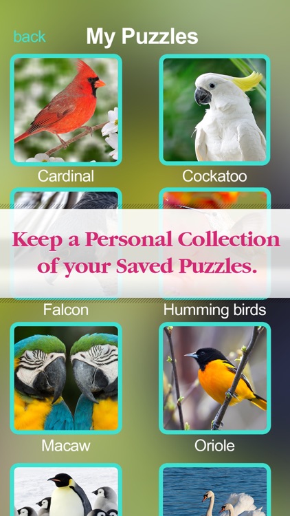 Birds Jigsaw Free - Collection Of Unique Puzzle Pics Of Falcons & Penguins