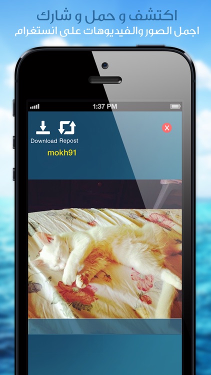 إنستا ريبوست -تحميل و اعادة نشر للانستجرام screenshot-4