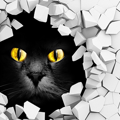 Kitty Cat Breakout Pro iOS App