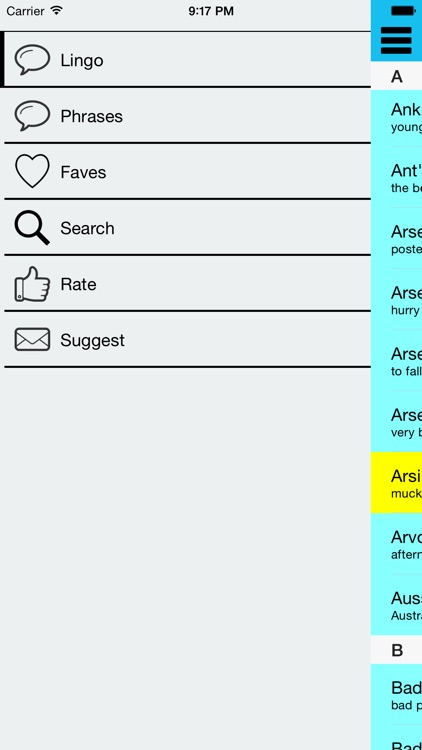Aussie Lingo Audio Companion - (Australian Slang Dictionary with Audio Examples) screenshot-4
