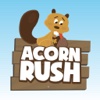 Acorn Rush!