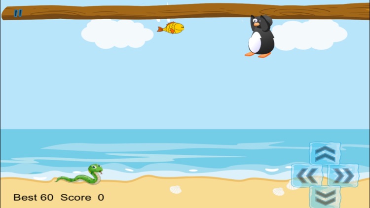 Penguin Beach Danger Dash Blitz screenshot-4