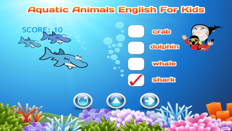 Aquatic Animals Vocabulary English For Kids By Trirat Nuipirom