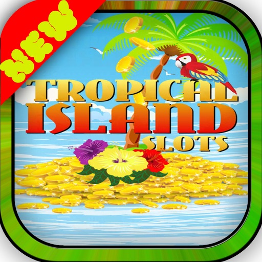 Tropical Island Bingo World