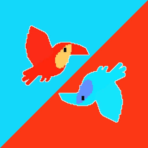Toucan Flight Icon
