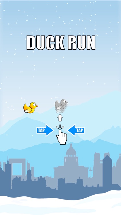 Duck Run - Adventure of a Flappy Tiny Snow Bird