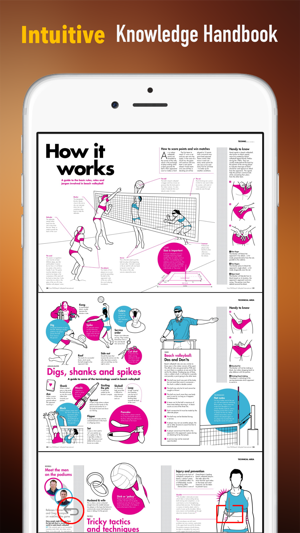 Volleyball 101: Quick Learning Reference