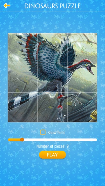 Dinosaur Jigsaw Puzzle screenshot-4