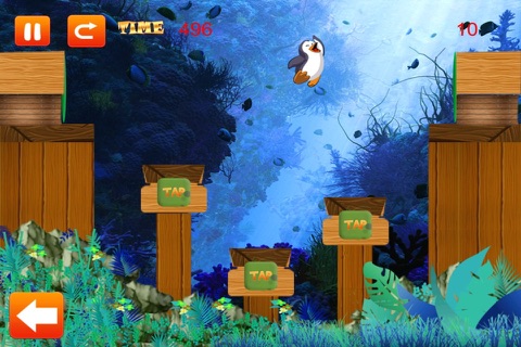 Penguin Plunge - Happy Water Maze Quest Free screenshot 3