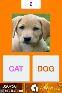 Game screenshot Tic Toc: Dog or Cat apk