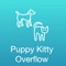 Puppy Kitty Overflow: Random Animated Dog and Cat Photos