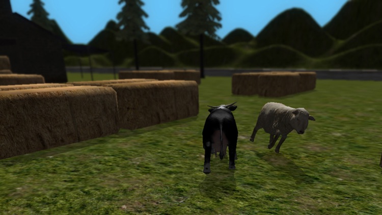 Crazy Cow Simulator - Free