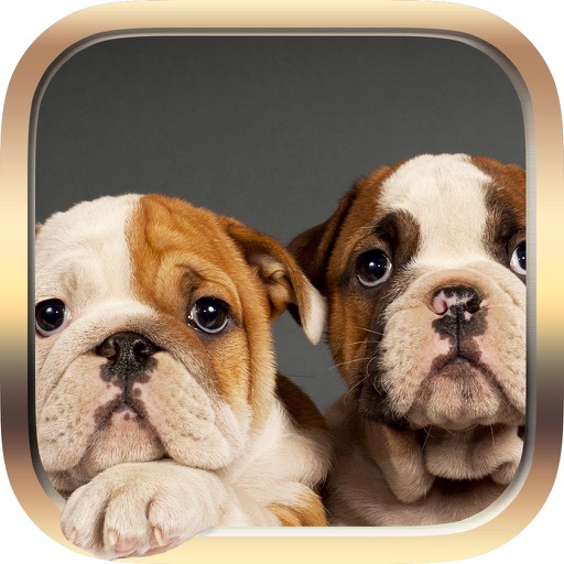 Pets Facts PRO - Trivia for Animal Lovers