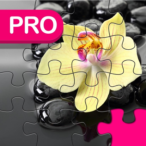 Zen Jigsaw Puzzle Pro Edition For Daily Fun & Adventure iOS App