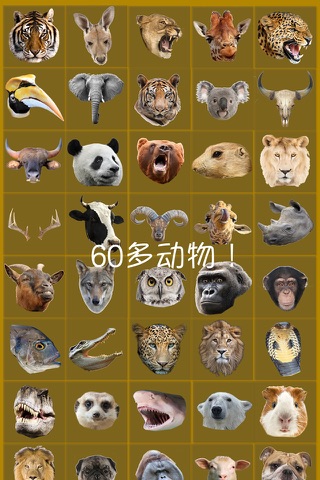 Animal Face Camera screenshot 4