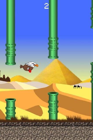 Flying Hawk- الصقور في الصحراء screenshot 3