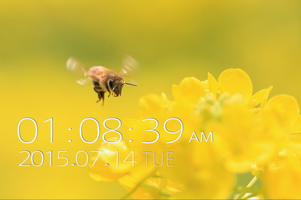 みつばち時計　～山田養蜂場から里山でミツバチと共に暮らす風景を～ screenshot 2